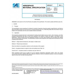 SAE AMS2628C